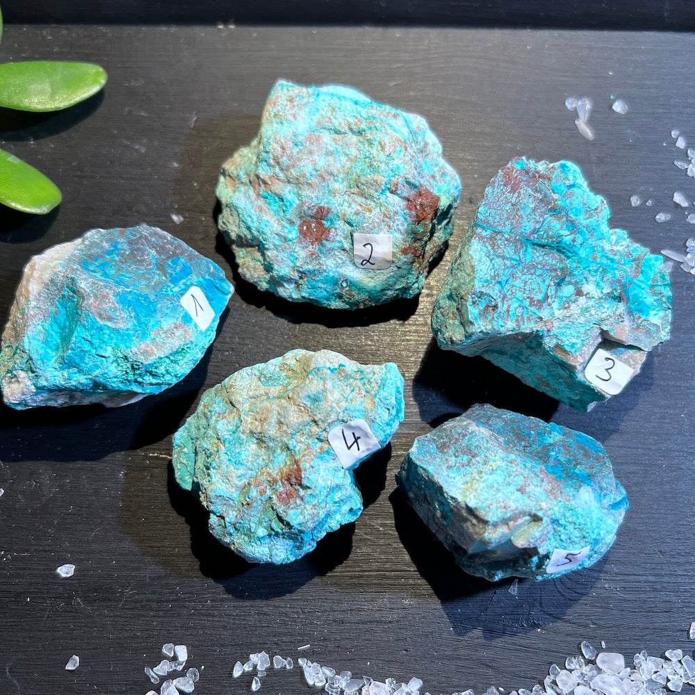 Chrysokoll Rohstein Nr. 1-5 Übersicht | Happy Minerals