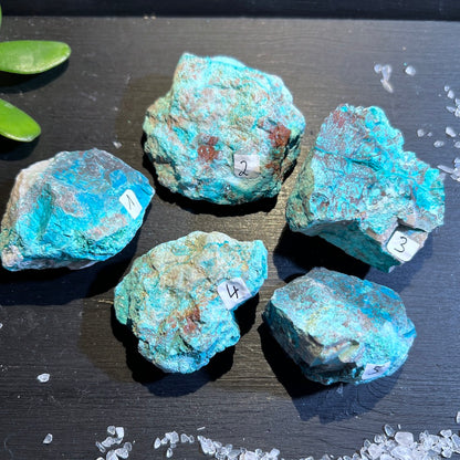 Chrysokoll Rohstein Nr. 1-5 Übersicht | Happy Minerals