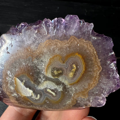 Amethyst Stalaktit aus Uruguay, eine Fläche poliert ca. 70mm